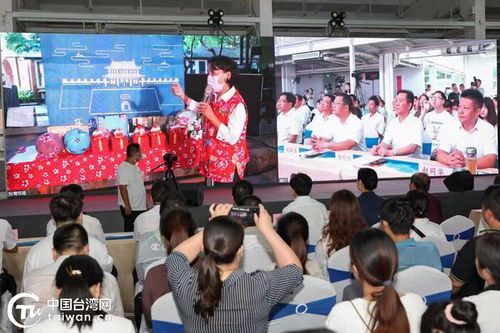 鄂臺(tái)兩地共話傳統(tǒng)布藝，云上交流助力文化傳承